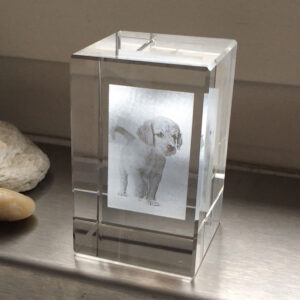 cube en verre gravé avec photo